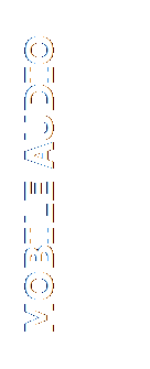 Text Box: MOBILE AUDIO