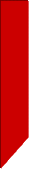 Text Box: MOBILE AUDIO