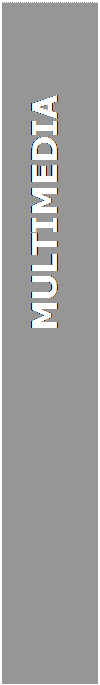 Text Box:                     MULTIMEDIA