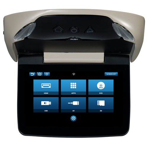 ADV10A - 10.1 inch monitor with built-in DVD player