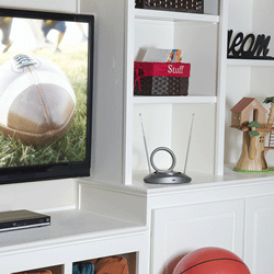 ANT301F - Indoor Amplified Digital TV Antenna