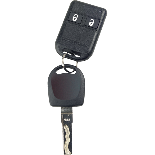 CA110 - Vehicle security system
